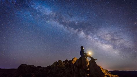 高級おつまみ 百貨店 - なぜ私たちは夜の空に星を見上げるのか？